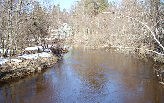 Seleznevka-river